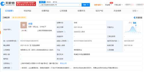 美團(tuán)新設(shè)信息咨詢(xún)公司 三億資本背后的戰(zhàn)略布局與行業(yè)影響